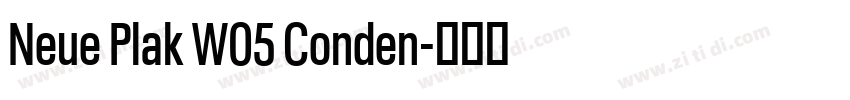 Neue Plak W05 Conden字体转换